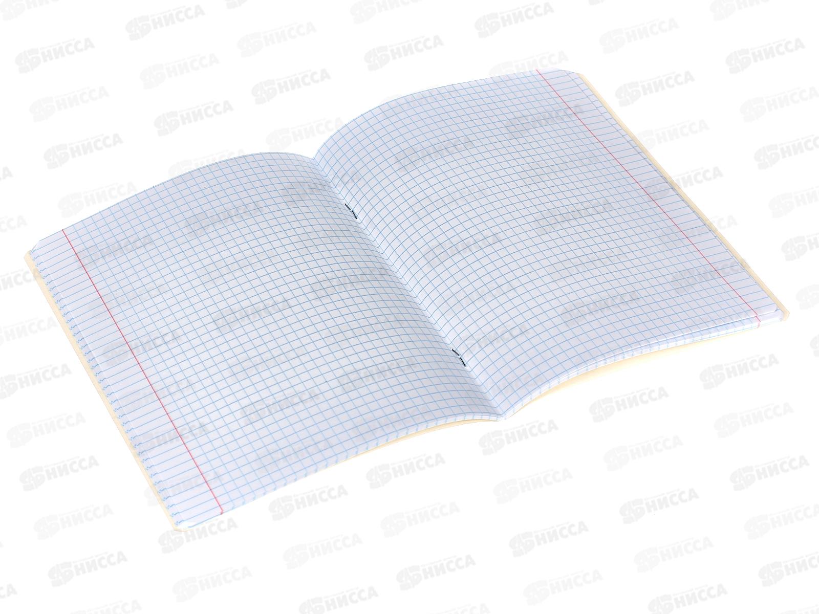 Тетрадь 48листов клетка АЛЬТ Фрукты,7-48-544*10/60