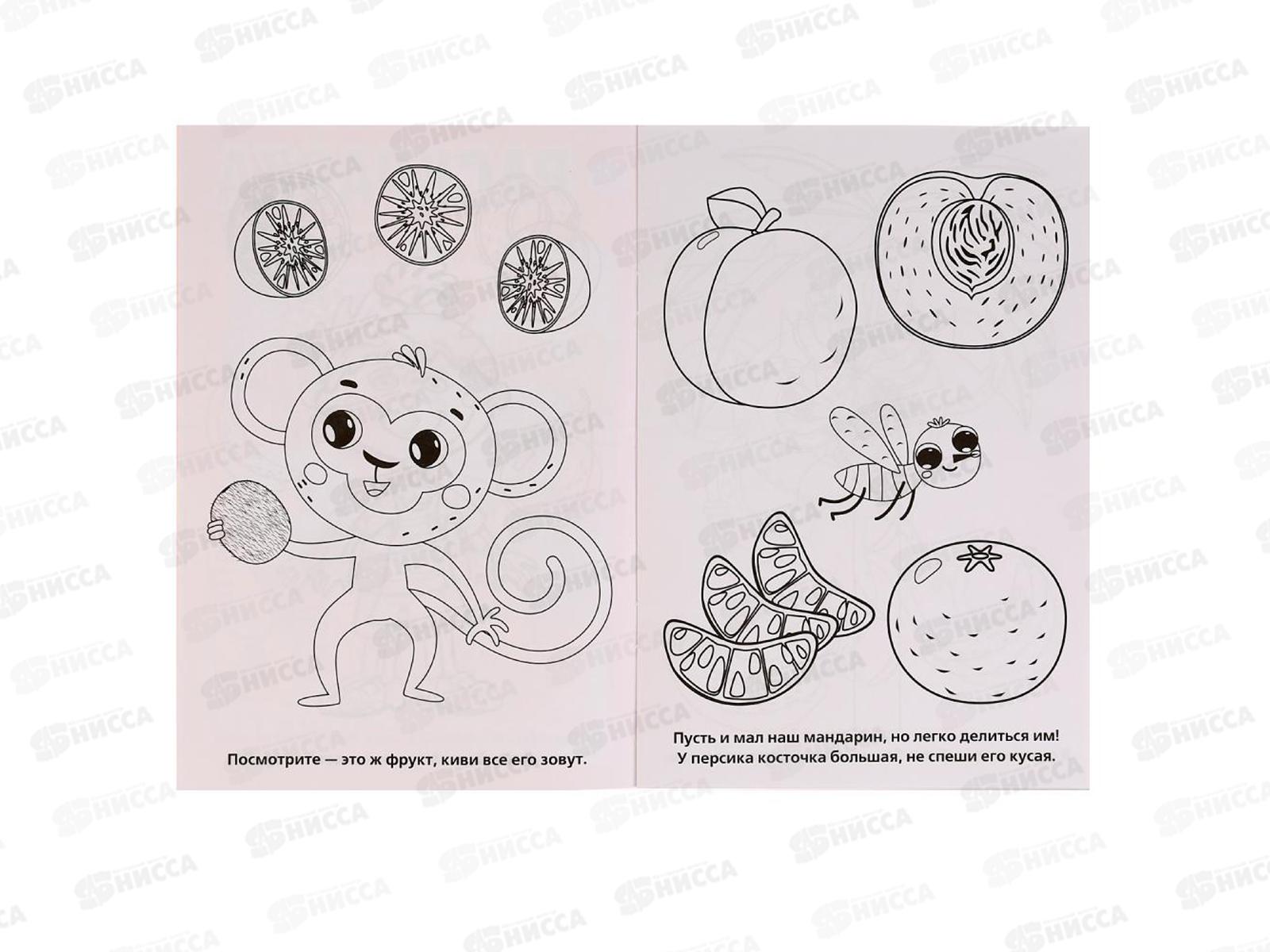 Раскраска &quotУМКА&quot 03287-8, Первая раскраска. Овощи и фрукты, А5 *100