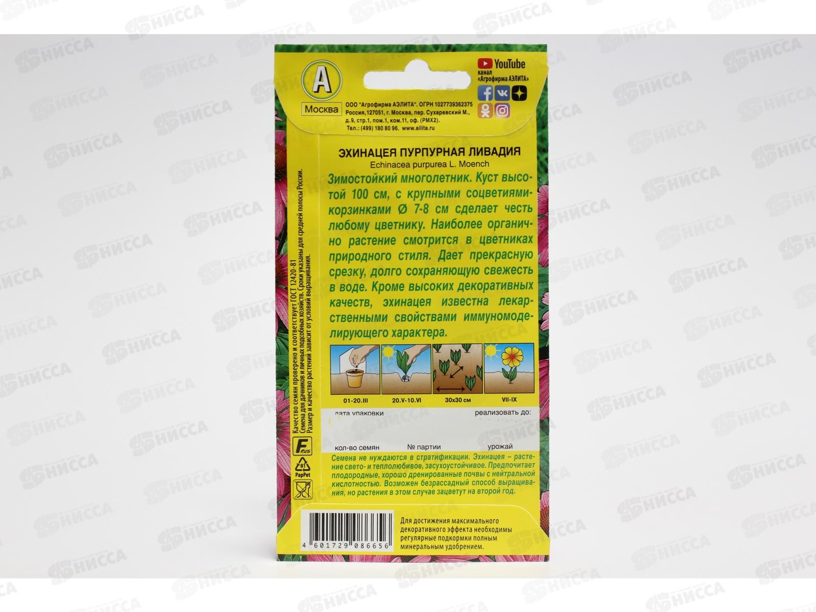 Эхинацея Ливадия пурпурная Аэлита *10