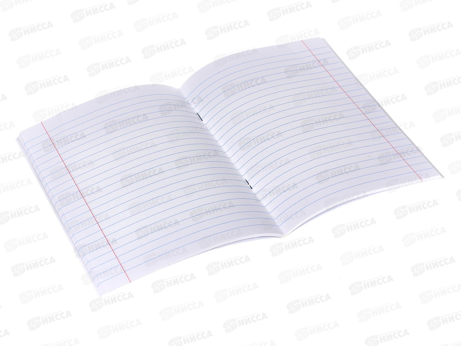 Тетрадь 48 листов линия Hatber б/в METALLIC Серебро*5/60