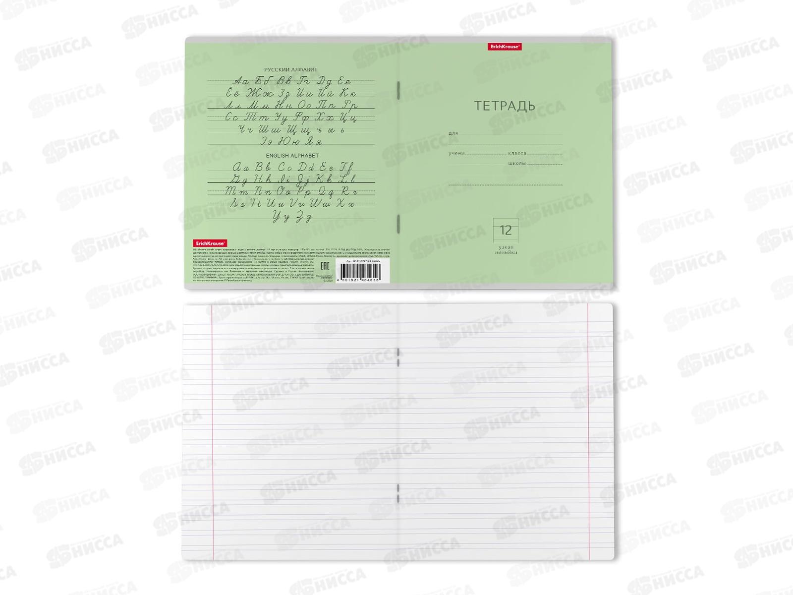 Тетрадь 12листов узкая линия ПОЛИ Классика зеленая, 46465