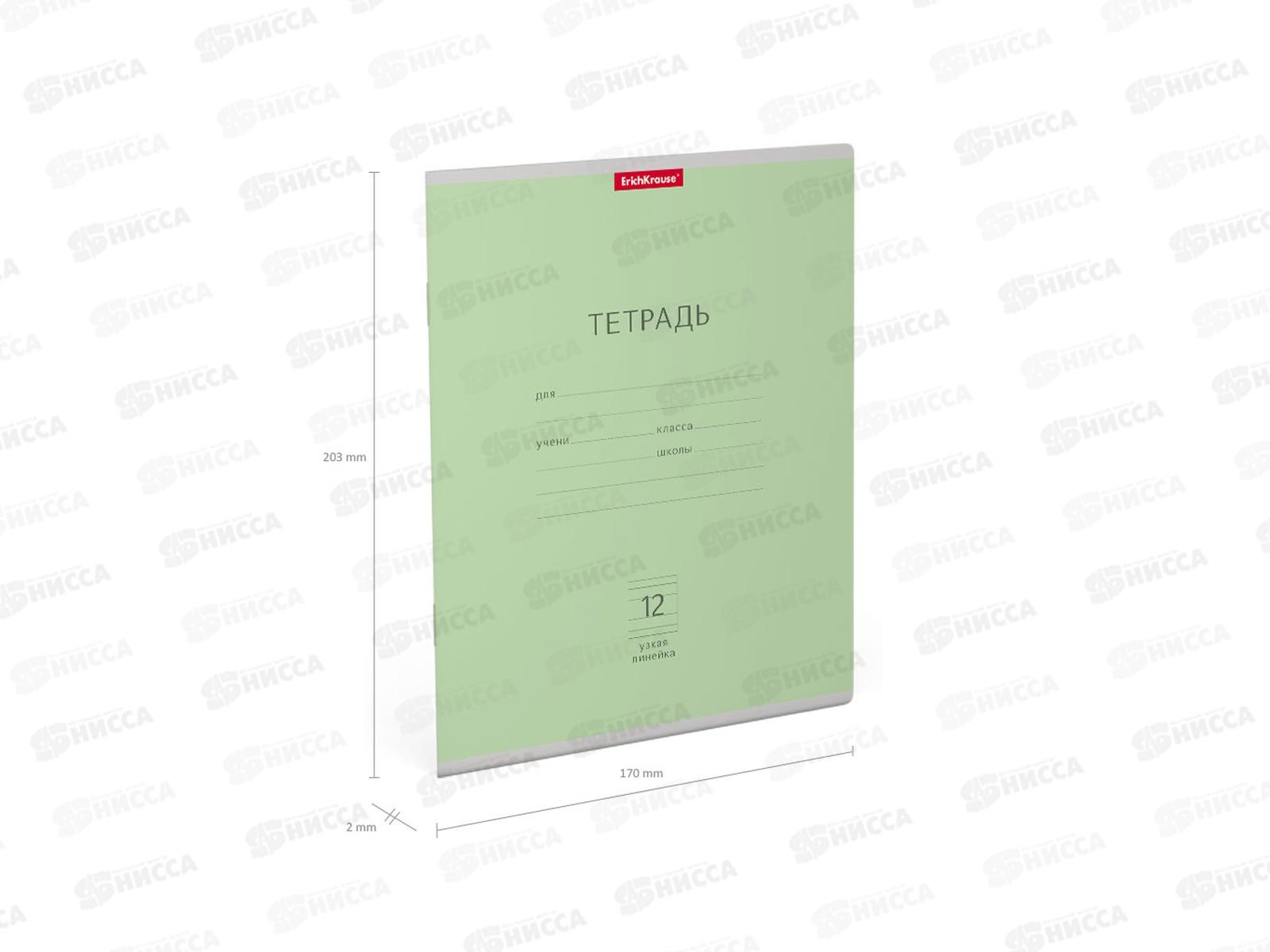 Тетрадь 12листов узкая линия ПОЛИ Классика зеленая, 46465