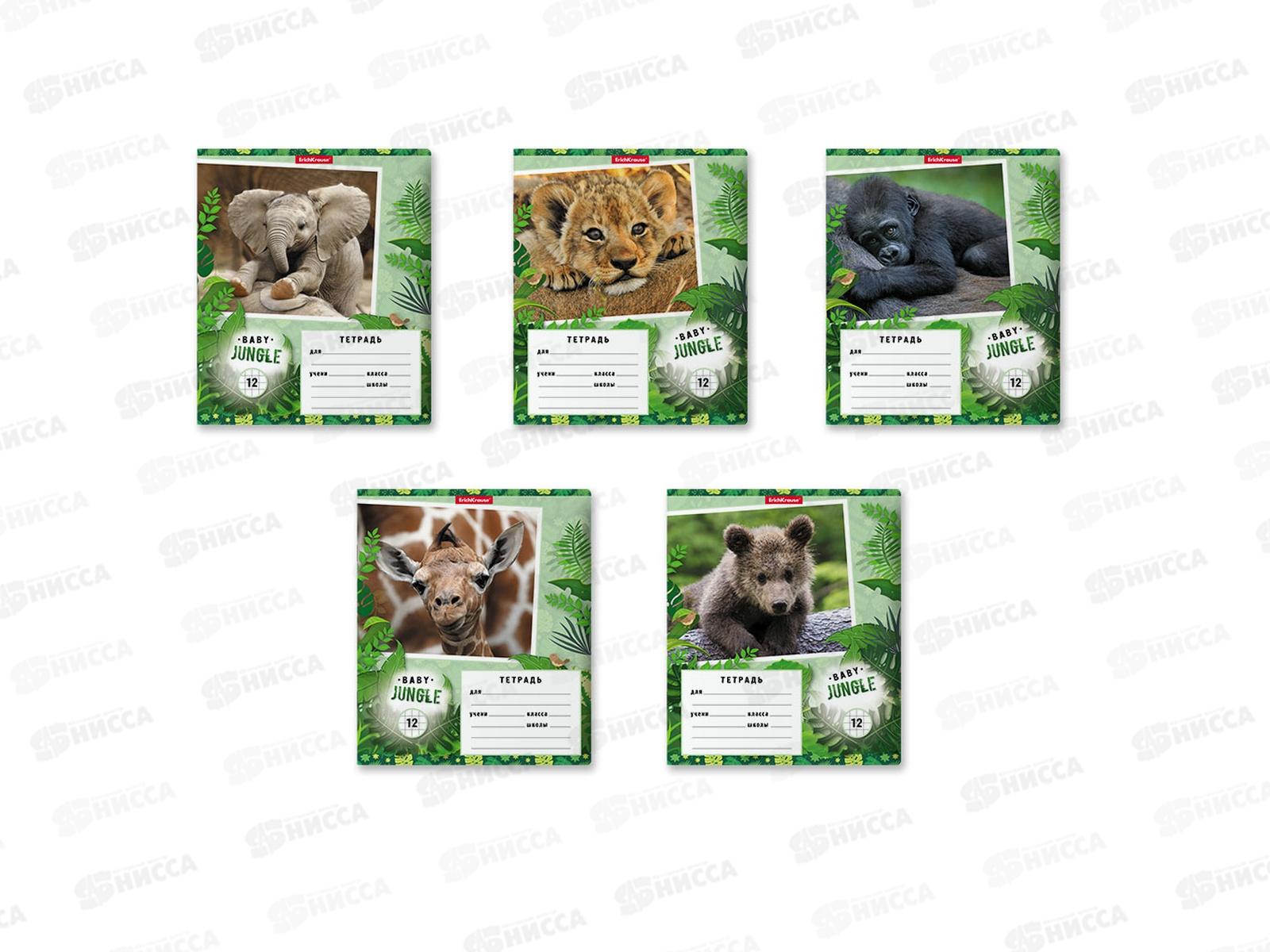 Тетрадь 12листов клетка ПОЛИ Baby Jungle 48832 *10/280