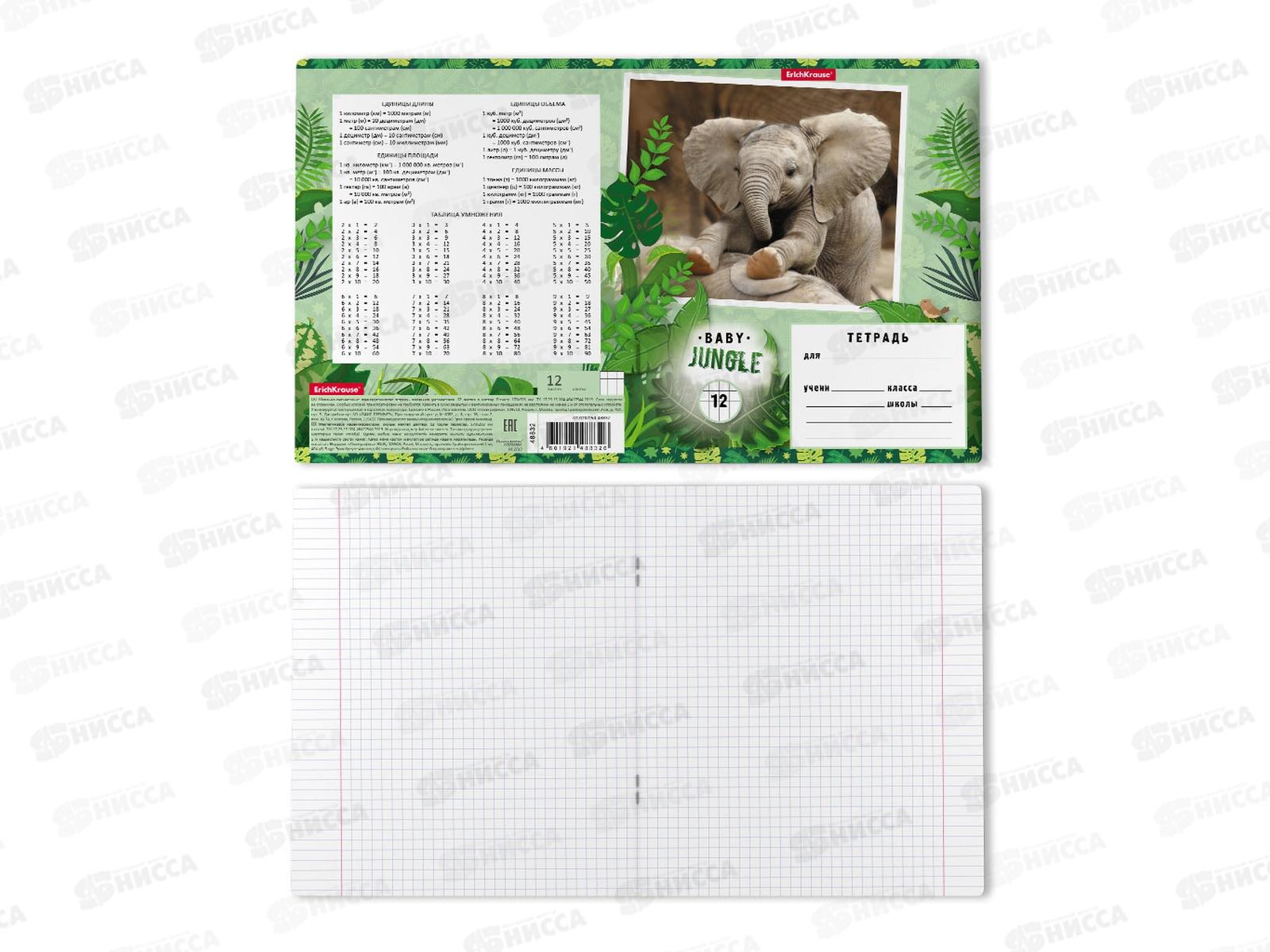 Тетрадь 12листов клетка ПОЛИ Baby Jungle 48832 *10/280