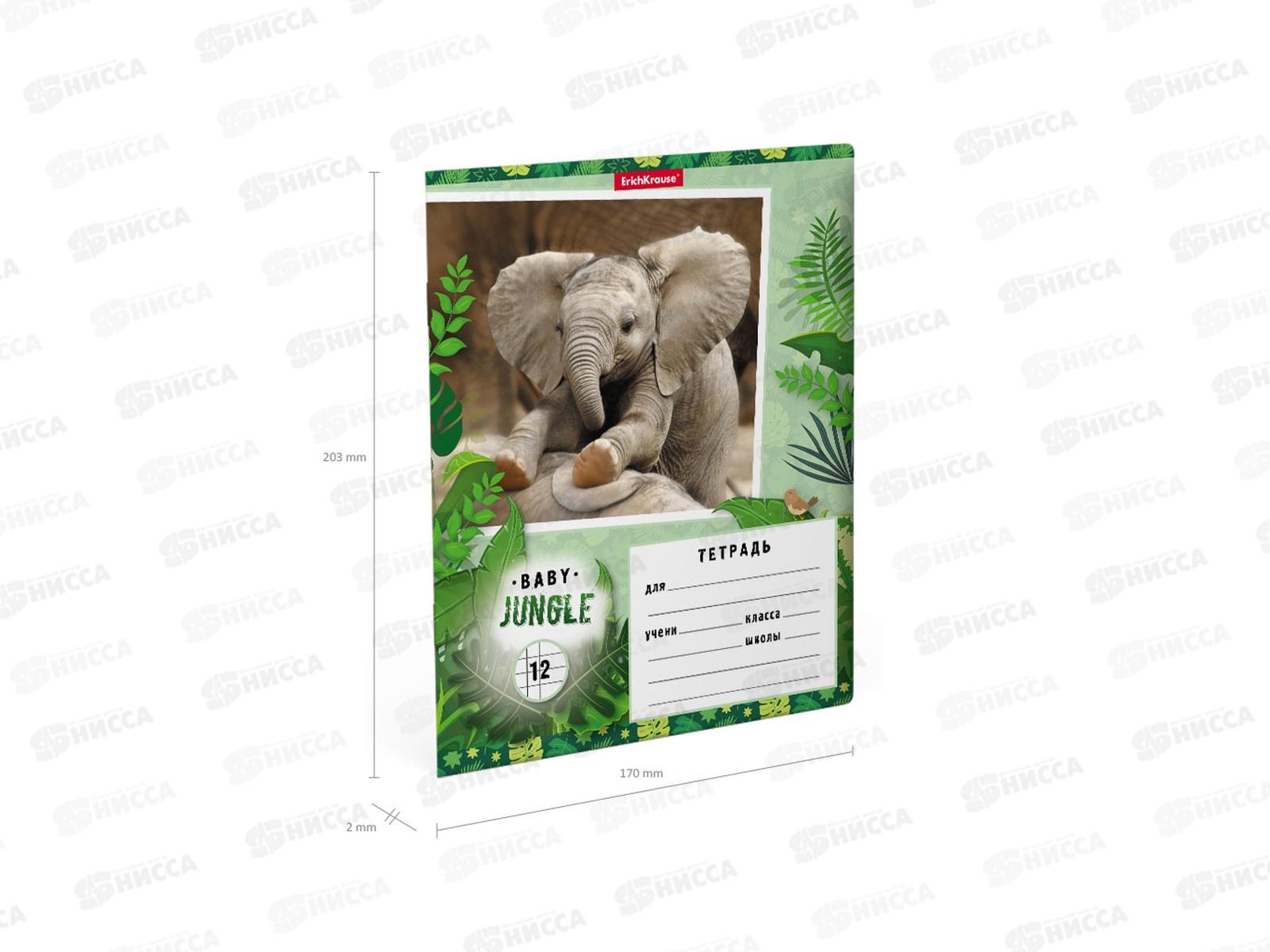 Тетрадь 12листов клетка ПОЛИ Baby Jungle 48832 *10/280