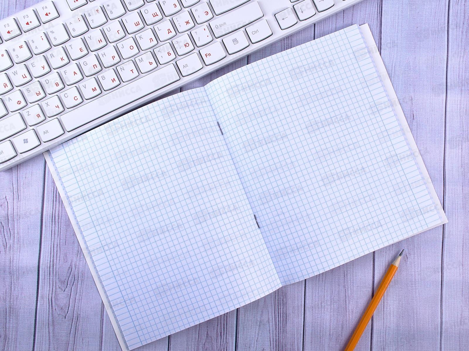 Тетрадь 48 листов клетка  ПЛН Light of Petersburg, мел., 2906 *40