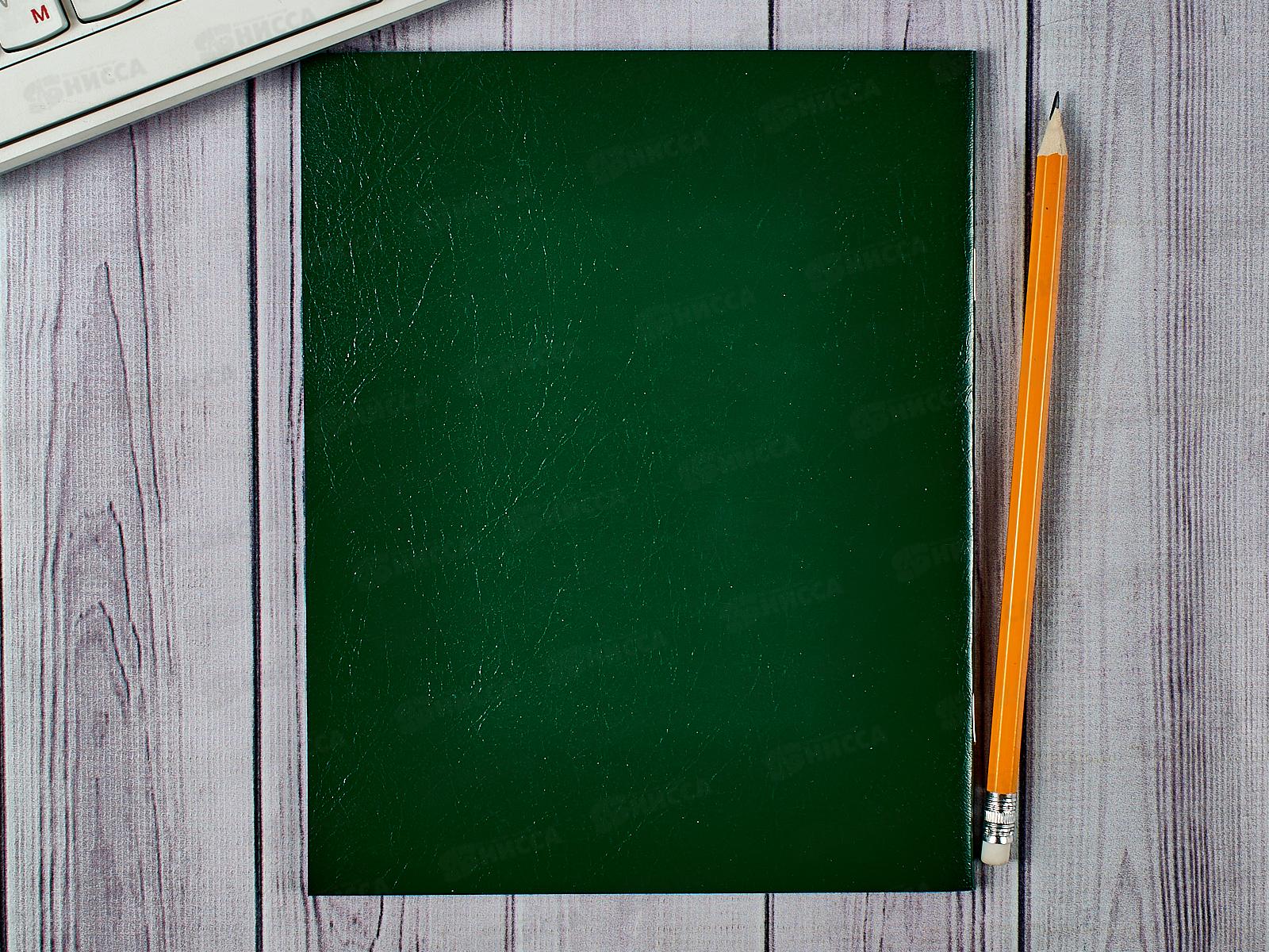 Тетрадь 48листов клетка Hatber бумвинил Зеленая*60