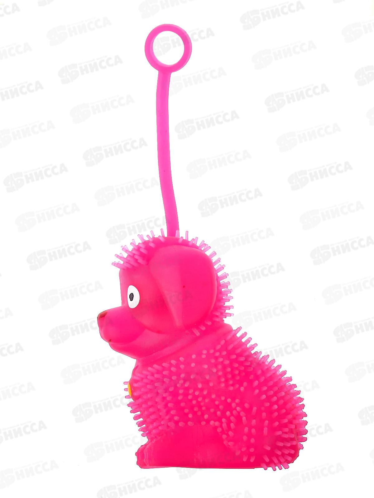 Мяч на резинке Собачка свет 1839-56/1839-55 *24/576  Б