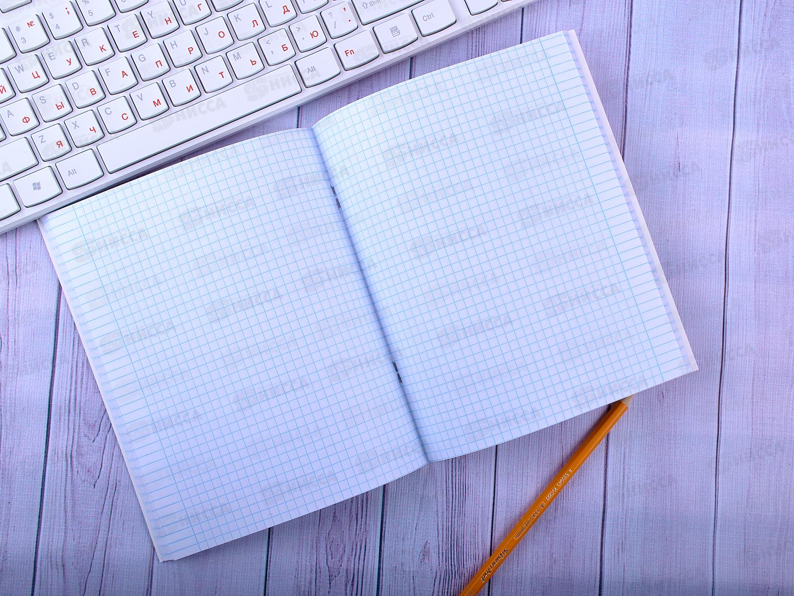 Тетрадь 48листов клетка ПЛН Волшебные единороги, ассорти, 3003 *40