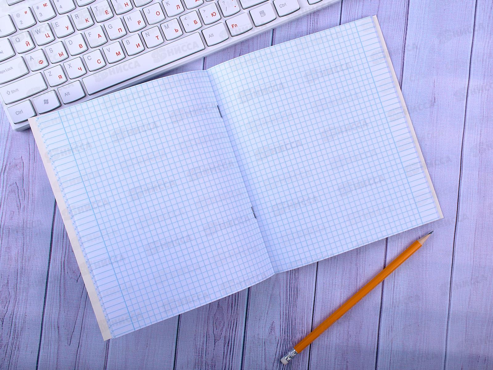 Тетрадь 48листов клетка ПЛН Лунная Мистерия, ассорти, 3007 *40