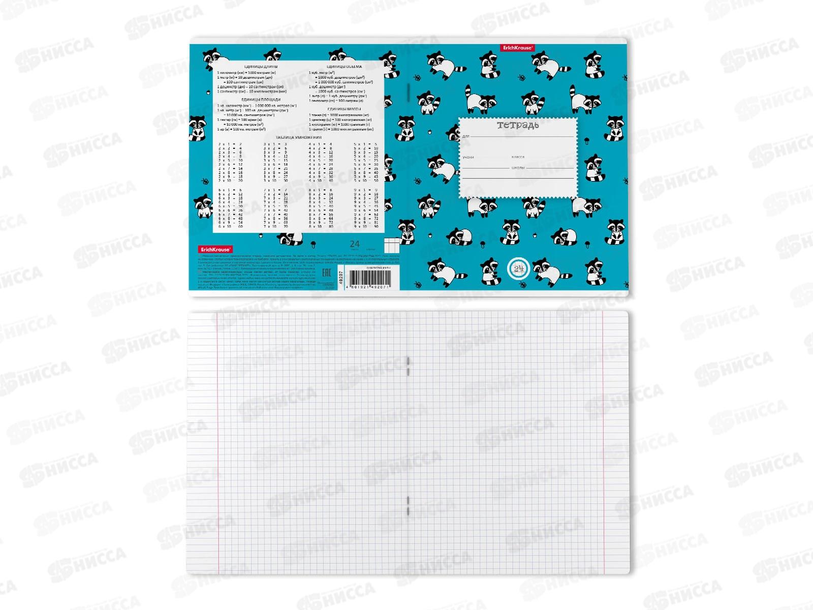 Тетрадь 24листа клетка ПОЛИ Racoons, 49207 *10/160