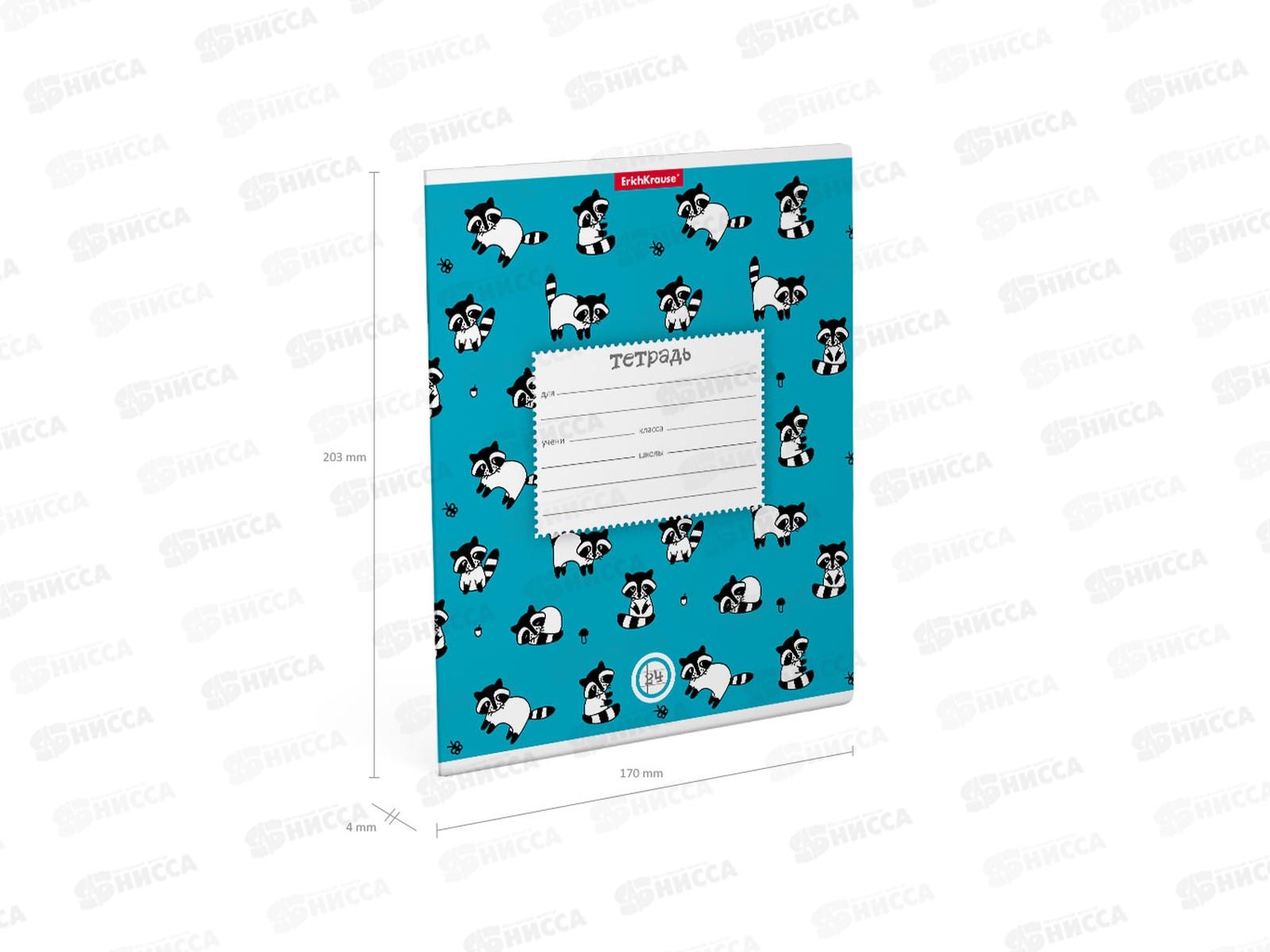 Тетрадь 24листа клетка ПОЛИ Racoons, 49207 *10/160