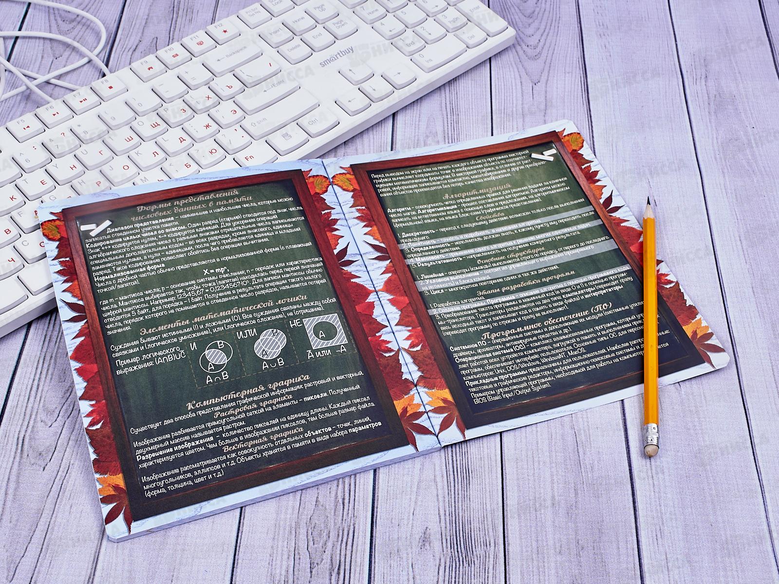 Тетрадь 48 листов клистов ПЗБМ Тайная жизнь ежей Информат. мел., 028894*5/50