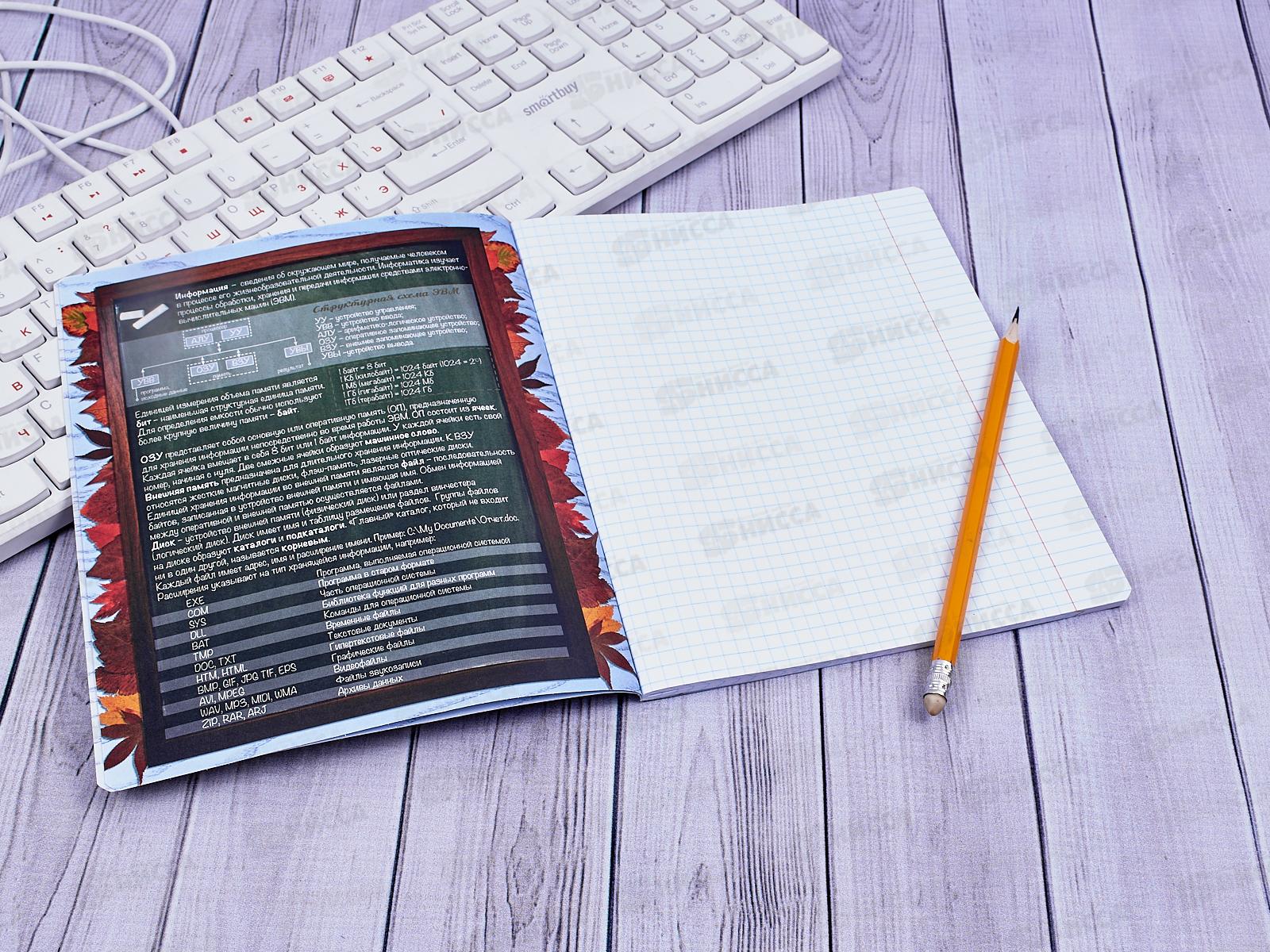 Тетрадь 48 листов клистов ПЗБМ Тайная жизнь ежей Информат. мел., 028894*5/50