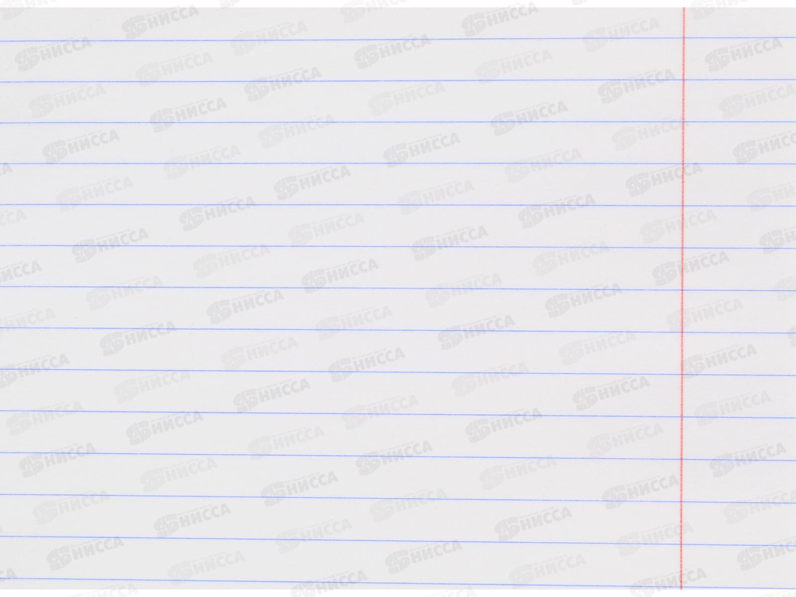 Тетрадь 24листа линия  BG Школьная, зеленая, 7343 *12/120