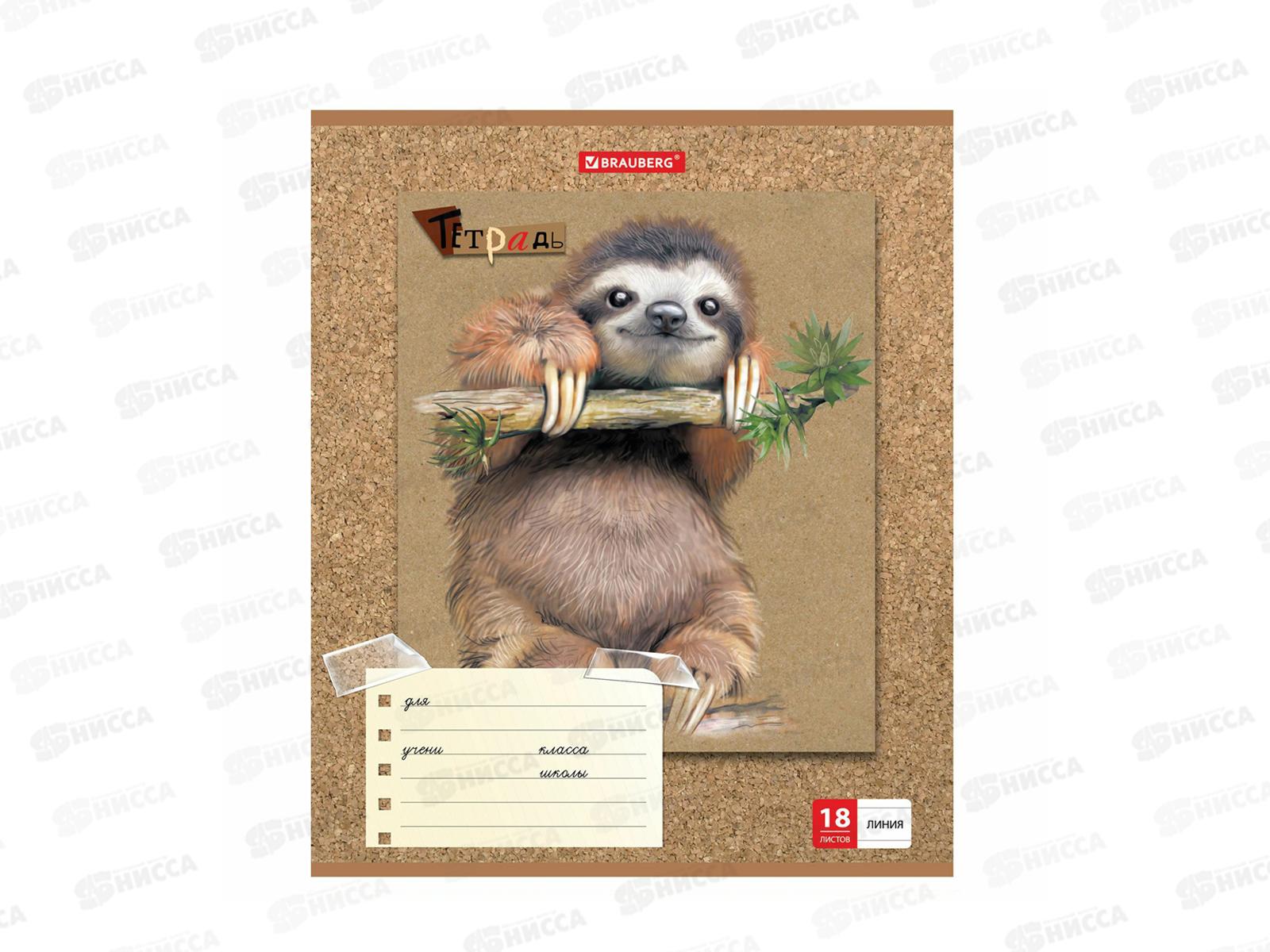 Тетрадь 18л лин BRAU Милые зверушки,403580*20/160