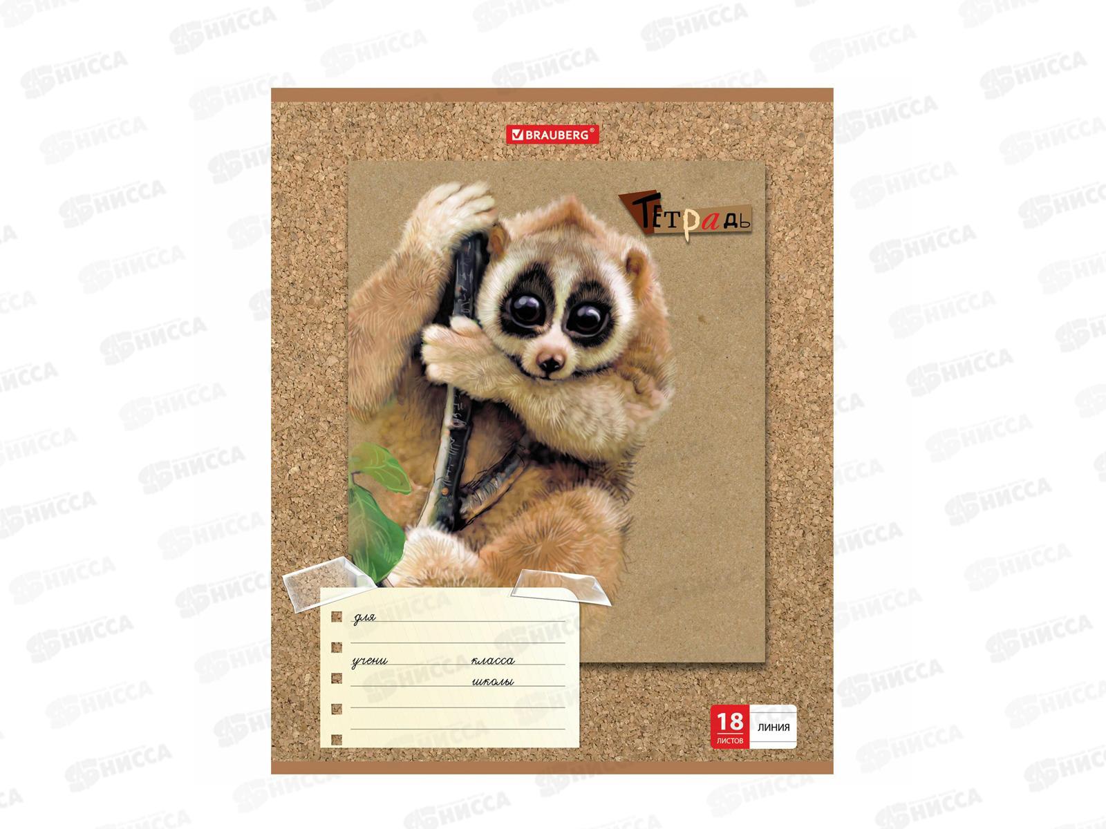 Тетрадь 18л лин BRAU Милые зверушки,403580*20/160