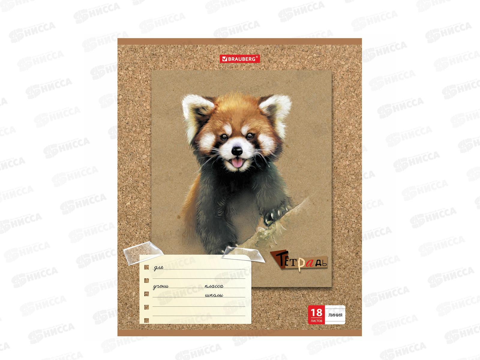 Тетрадь 18л лин BRAU Милые зверушки,403580*20/160