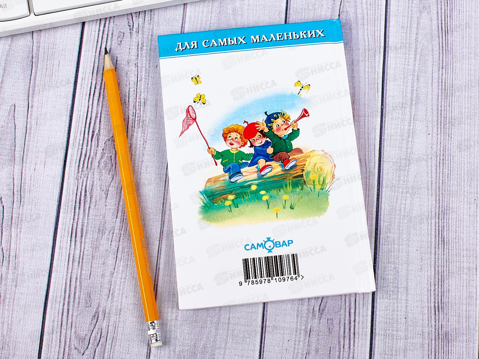 Книга СВ Братики-сестрички, К-ДСМ-04 *30