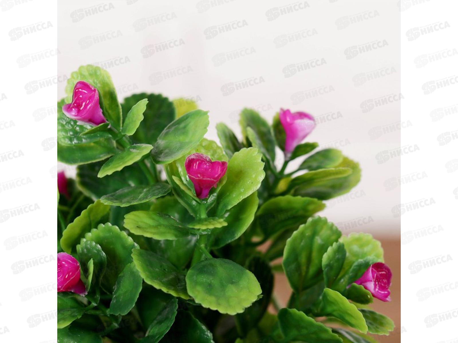 Бонсай в горшке &quotМаленькие розочки&quot 6*15см микс 4555644