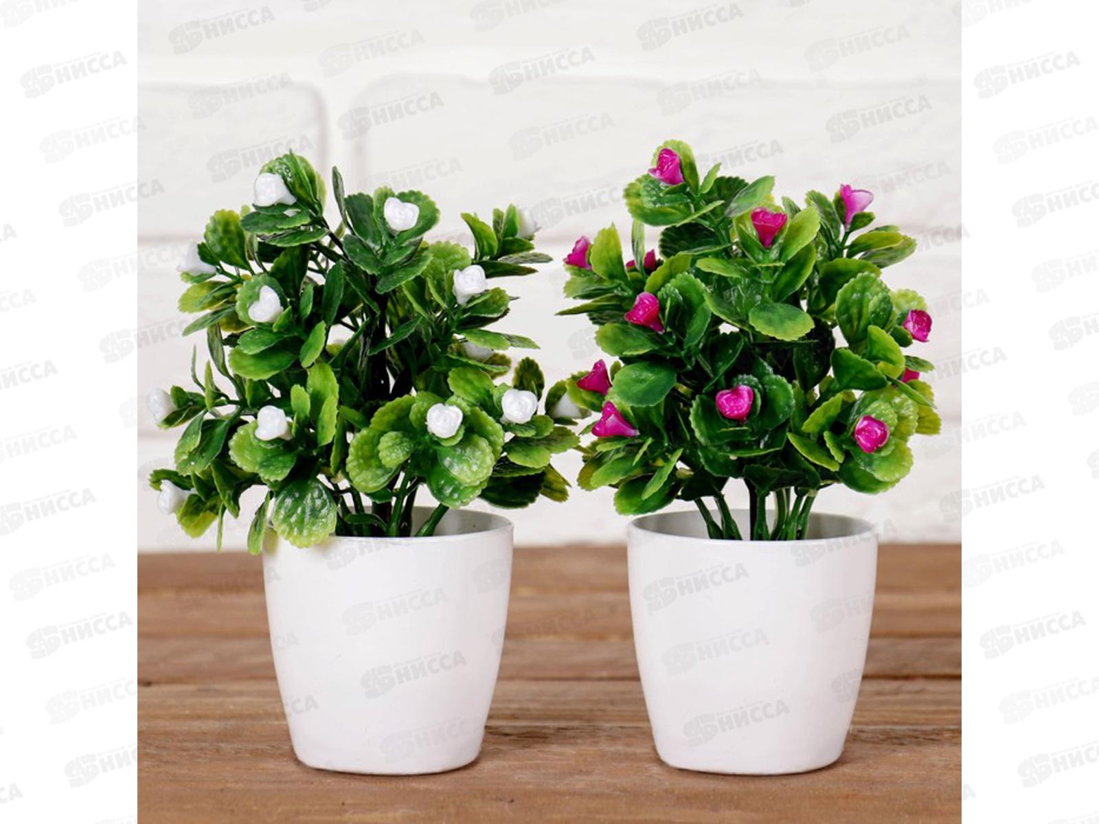 Бонсай в горшке &quotМаленькие розочки&quot 6*15см микс 4555644