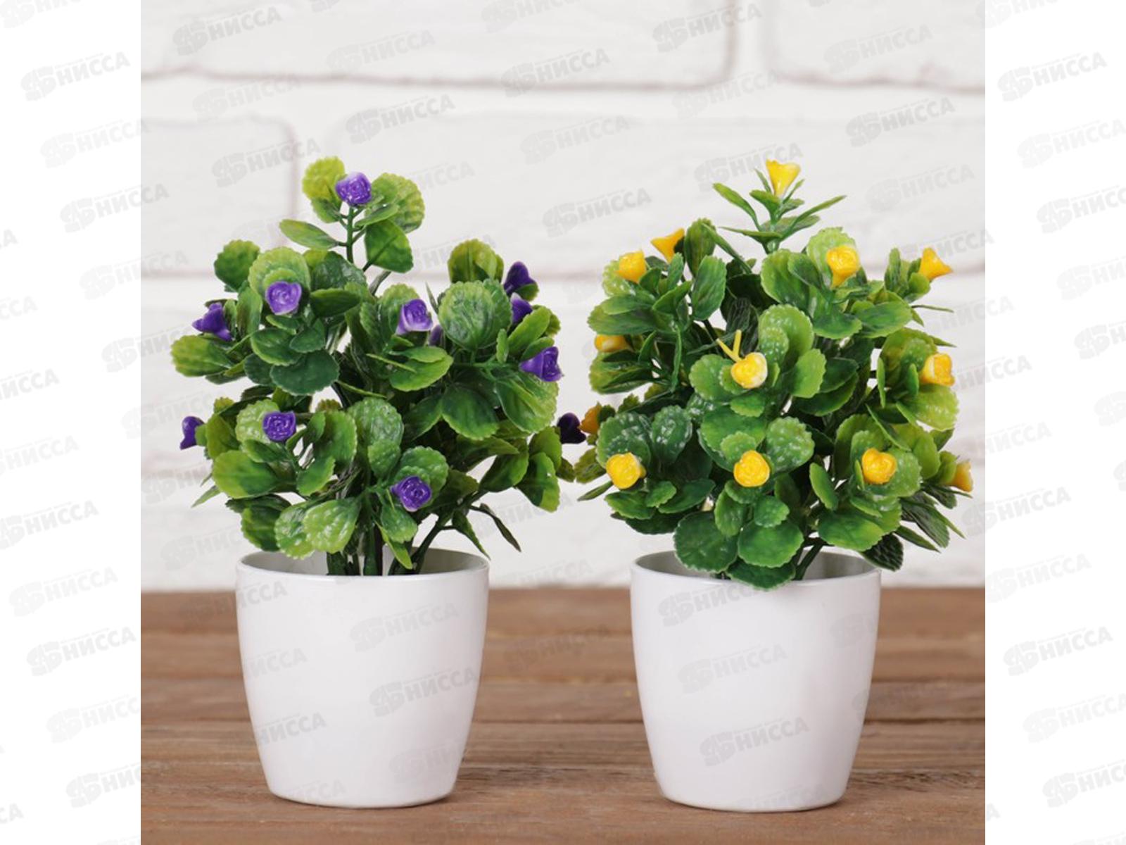 Бонсай в горшке &quotМаленькие розочки&quot 6*15см микс 4555644