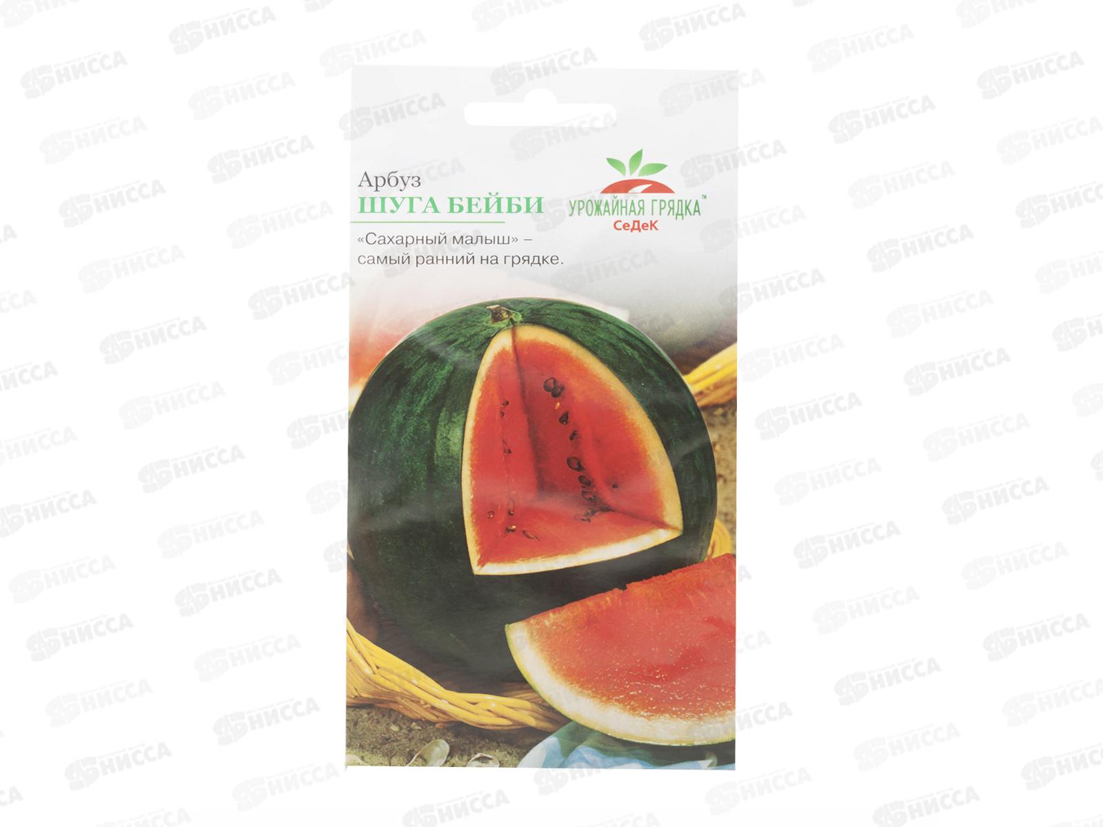 Арбуз Шуга Бейби (Евро, 1) *10 СеДек