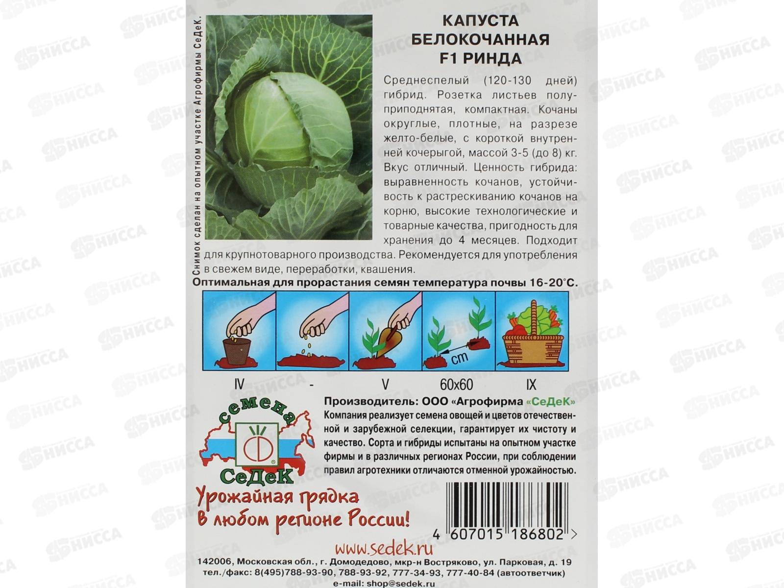 Капуста Ринда F1 белокочанная (Евро, 10) СеДек *10 +