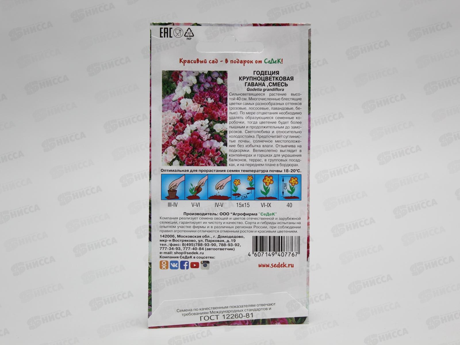 Годеция Гавана (крупноцветковая смесь) (Евро, 0,1) СеДек *10 +