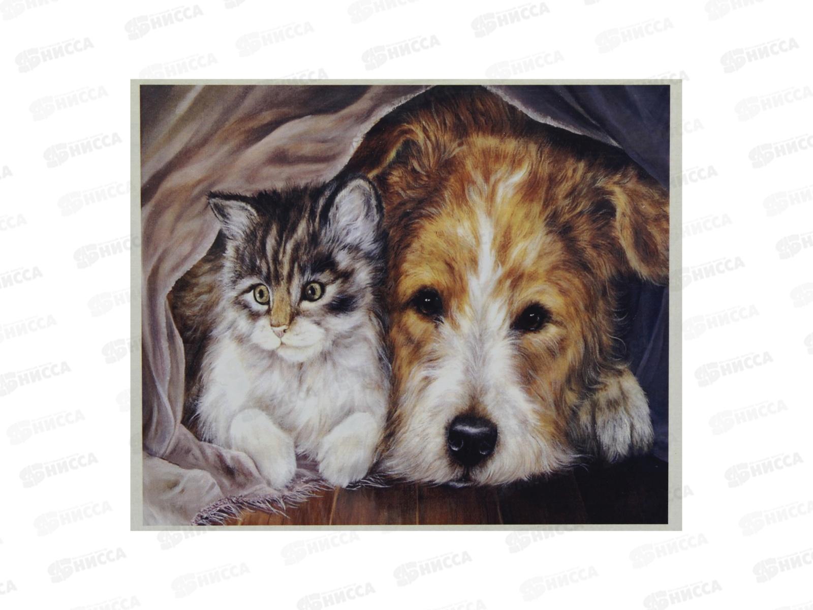 Алмазная мозаика MAZARI Котенок и щенок-3,40х50см,1диз, M-11263