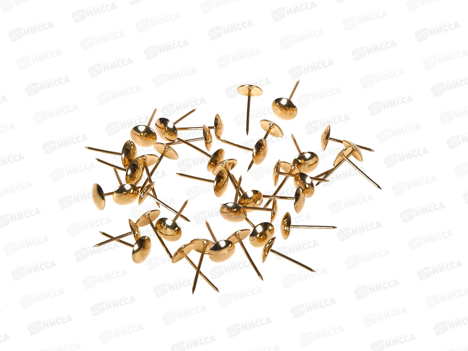 Гвоздь декоративный 1,2х25 золото 35шт ДГЗ-1225   *100   ш