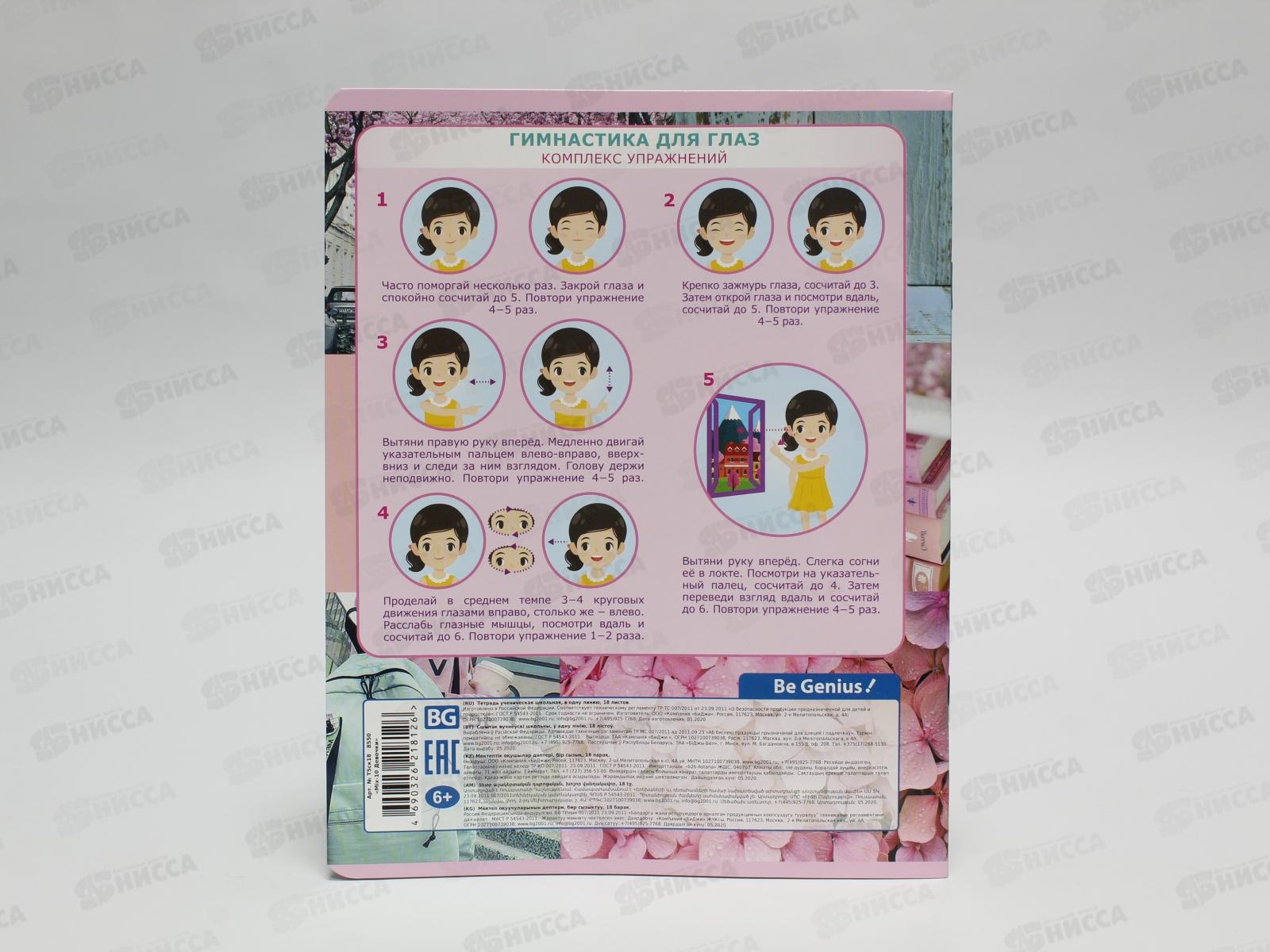 Тетрадь 18 листов линия BG Mix-10 Девочки, ассортимент 8550 *12/144