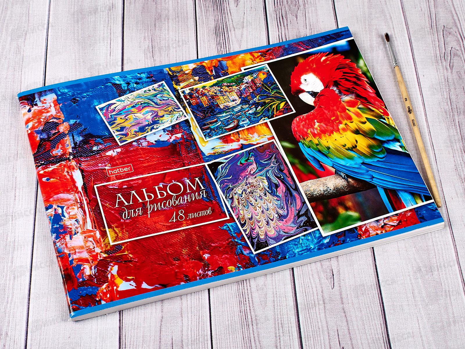 Альбом для рисования 48 листов  Hatber Ассорти *6/30