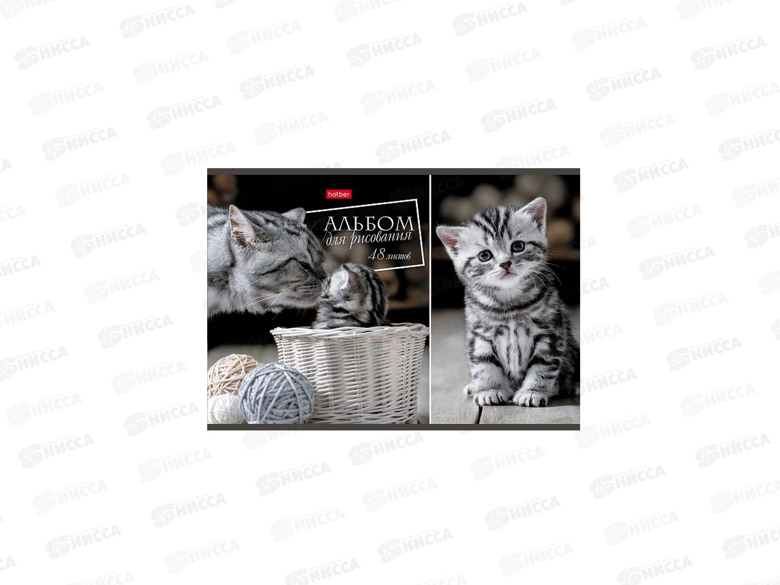 Альбом для рисования 48 листов  Hatber Ассорти *6/30