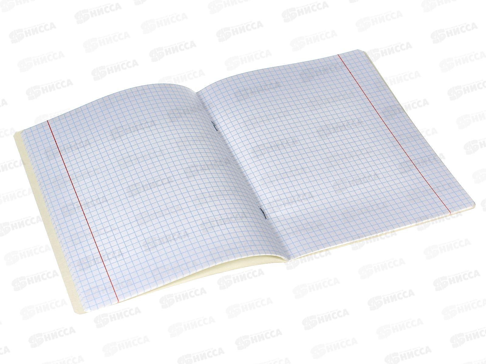 Тетрадь 24 листа клетка BG Школьная, зеленая, 7341*12/120