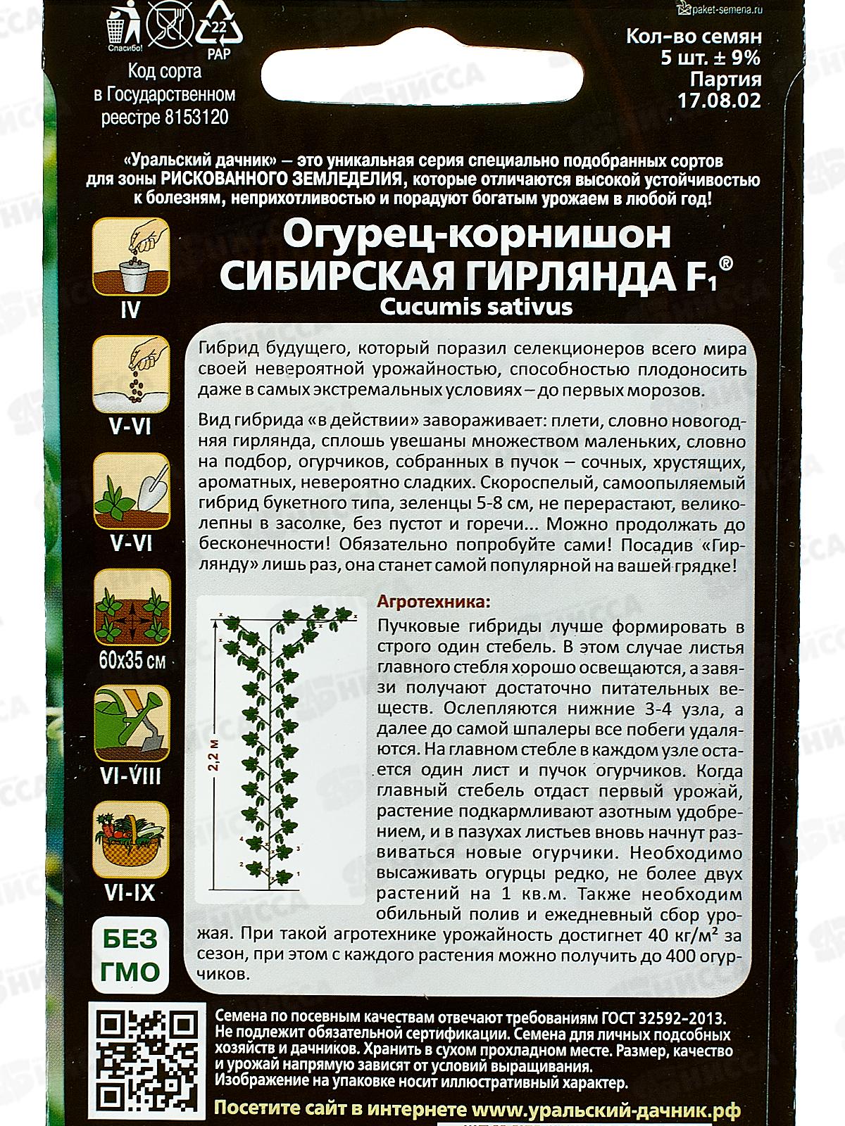 Огурец Сибирская Гирлянда F1 Евро  *5 УрД +