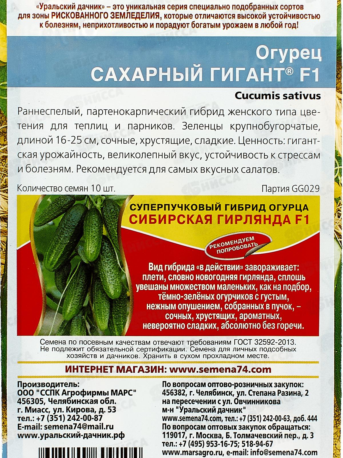 Огурец Сахарный Гигант F1 Евро *10 УрД +