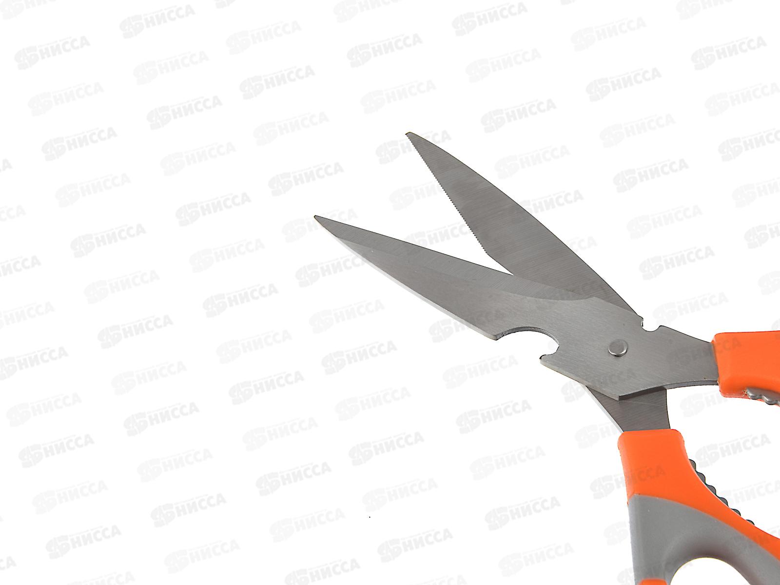 Ножницы кухонные 21см орехокол и открывашка 884-213 г