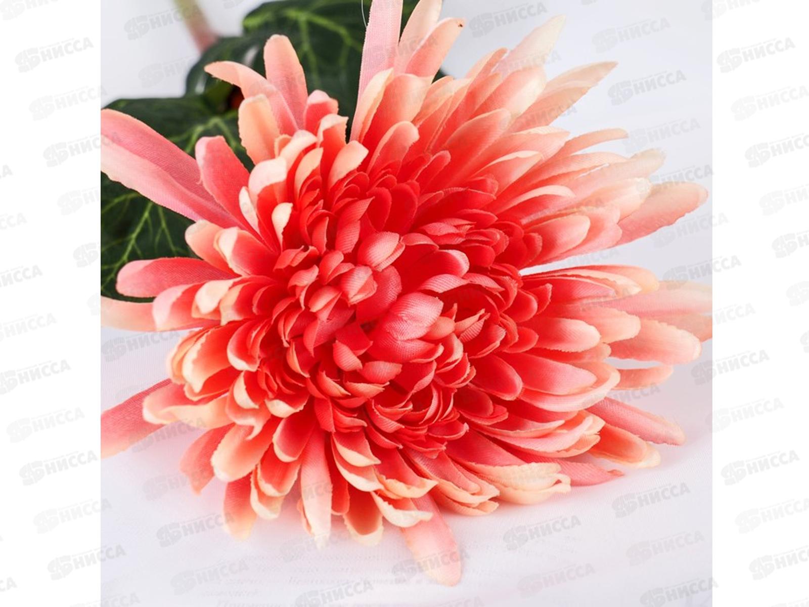 Цветы искусственные 63см Астра пионовидная персик 4642689