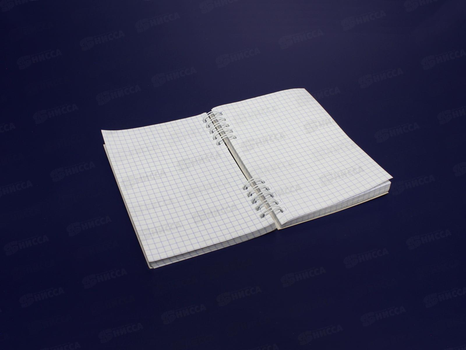 Блокнот120листов ПГС NB Десерт, 100*150, лак. *6