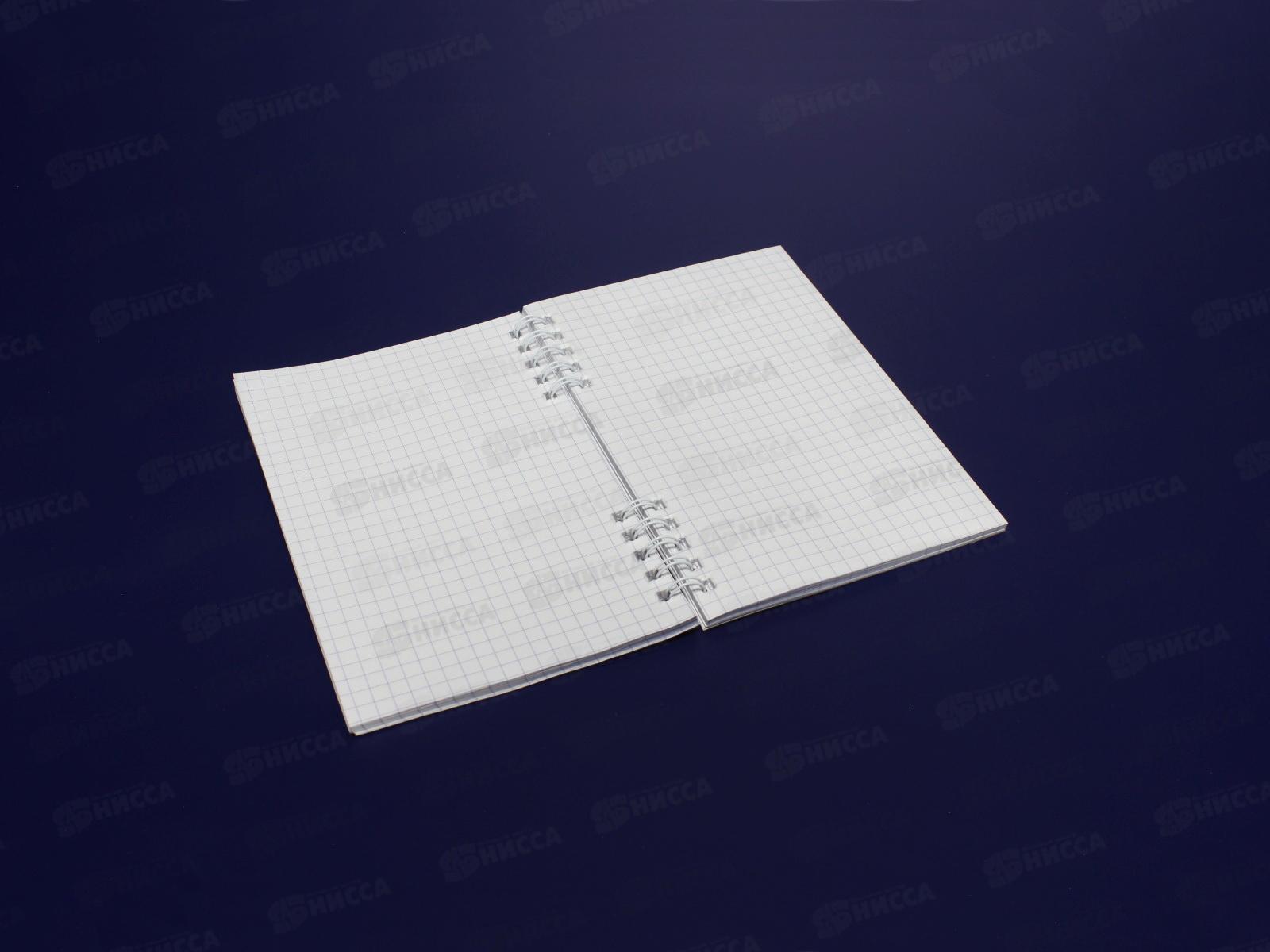 Блокнот 80листов ПГС Десерт, 100*150, глиттер, на  гребне *12