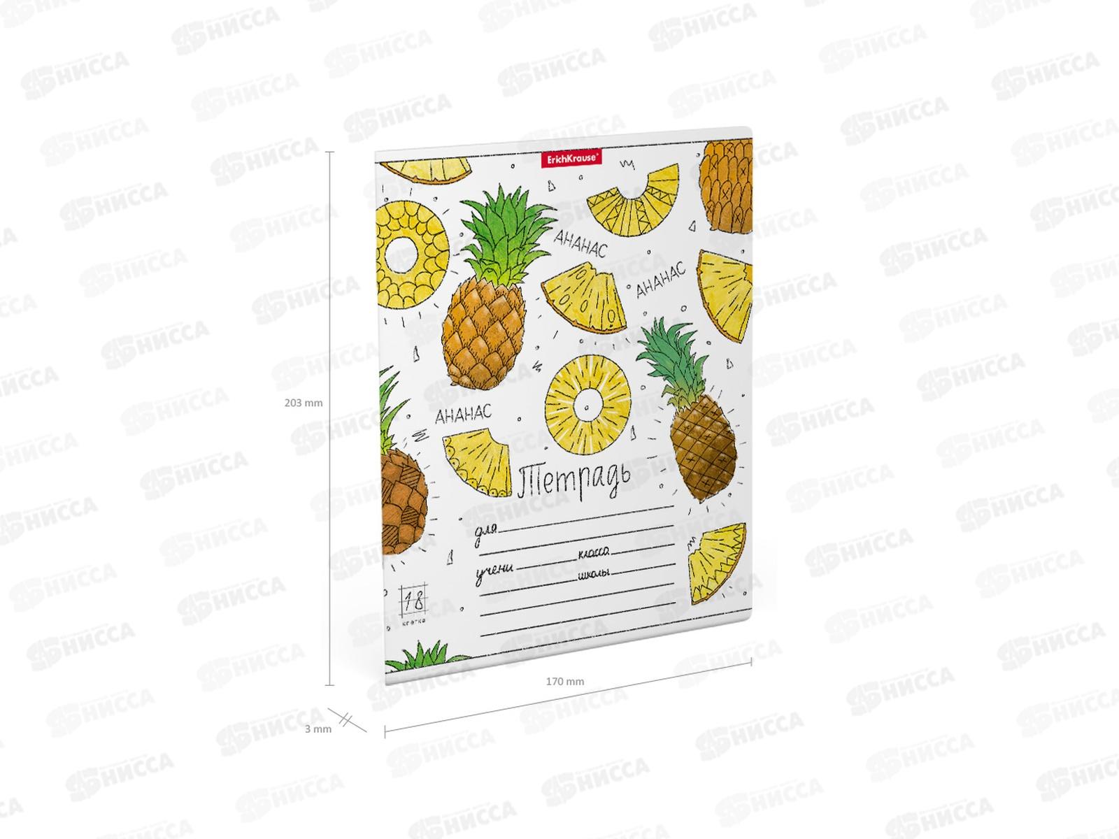 Тетрадь 18 листов  клетка  ПОЛИ Яркие дольки 51415 *10/200