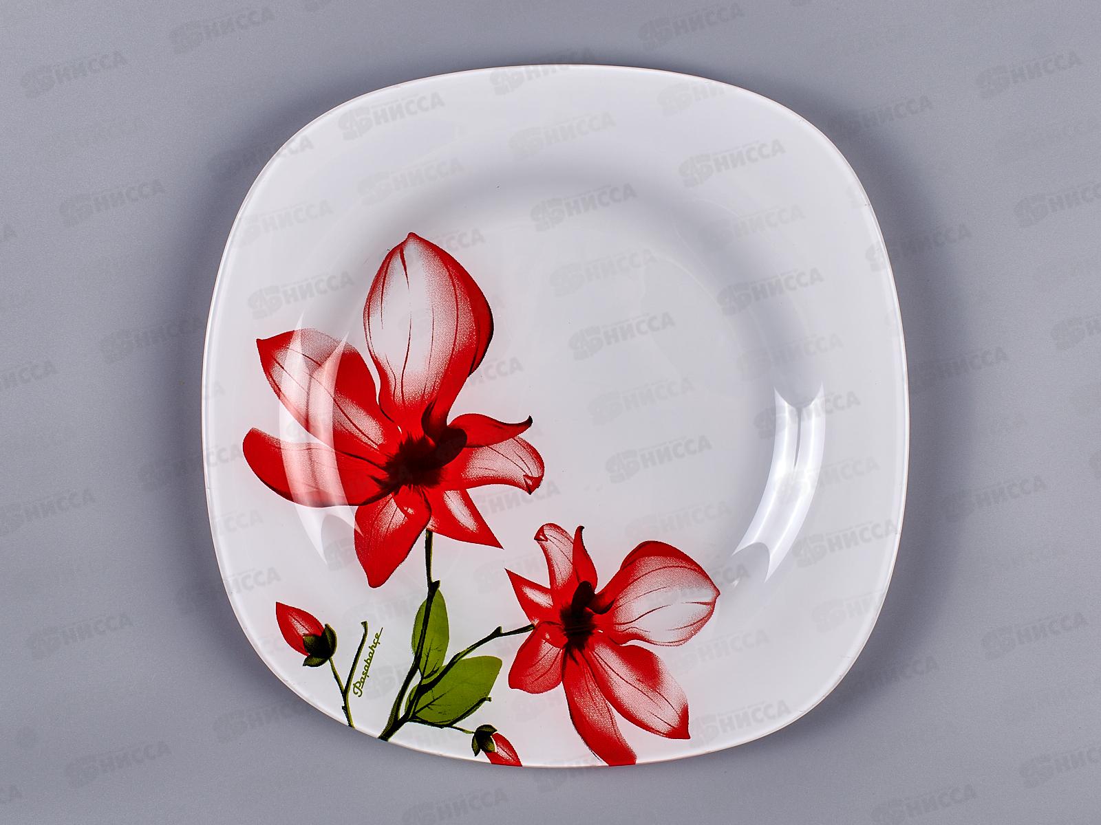 Тарелка Экзотик 260мм упрочненная  10519SLBD2 *12