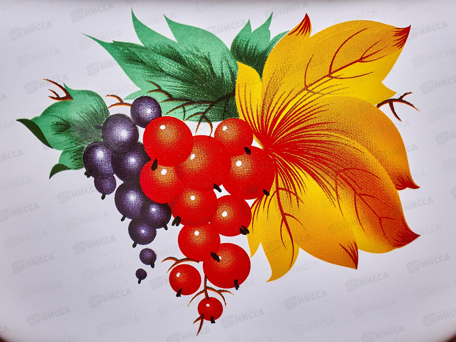 Кастрюля 2,0л эмалированная с рисунком 01-1610.1/4 Смородина *8