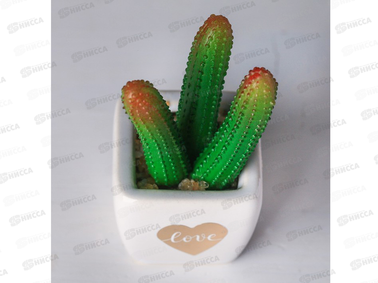 Бонсай в горшке Суккулент Love 10,5*6см 4095590