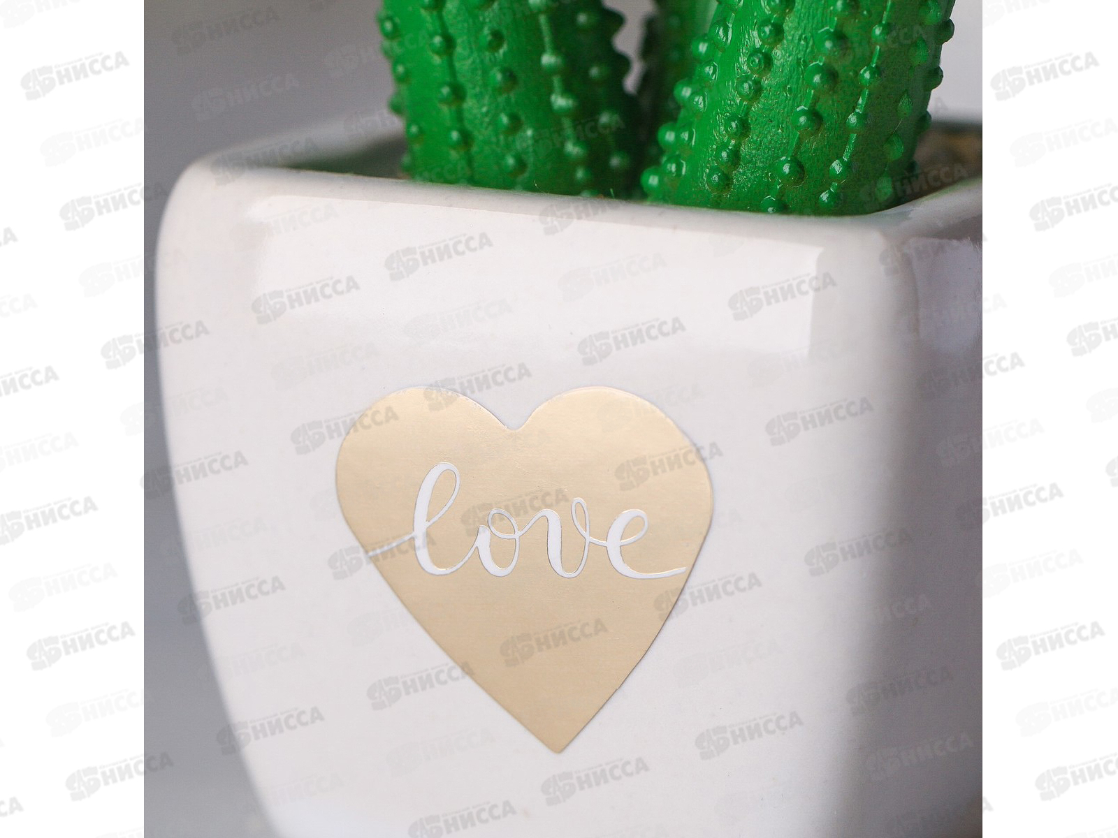 Бонсай в горшке Суккулент Love 10,5*6см 4095590