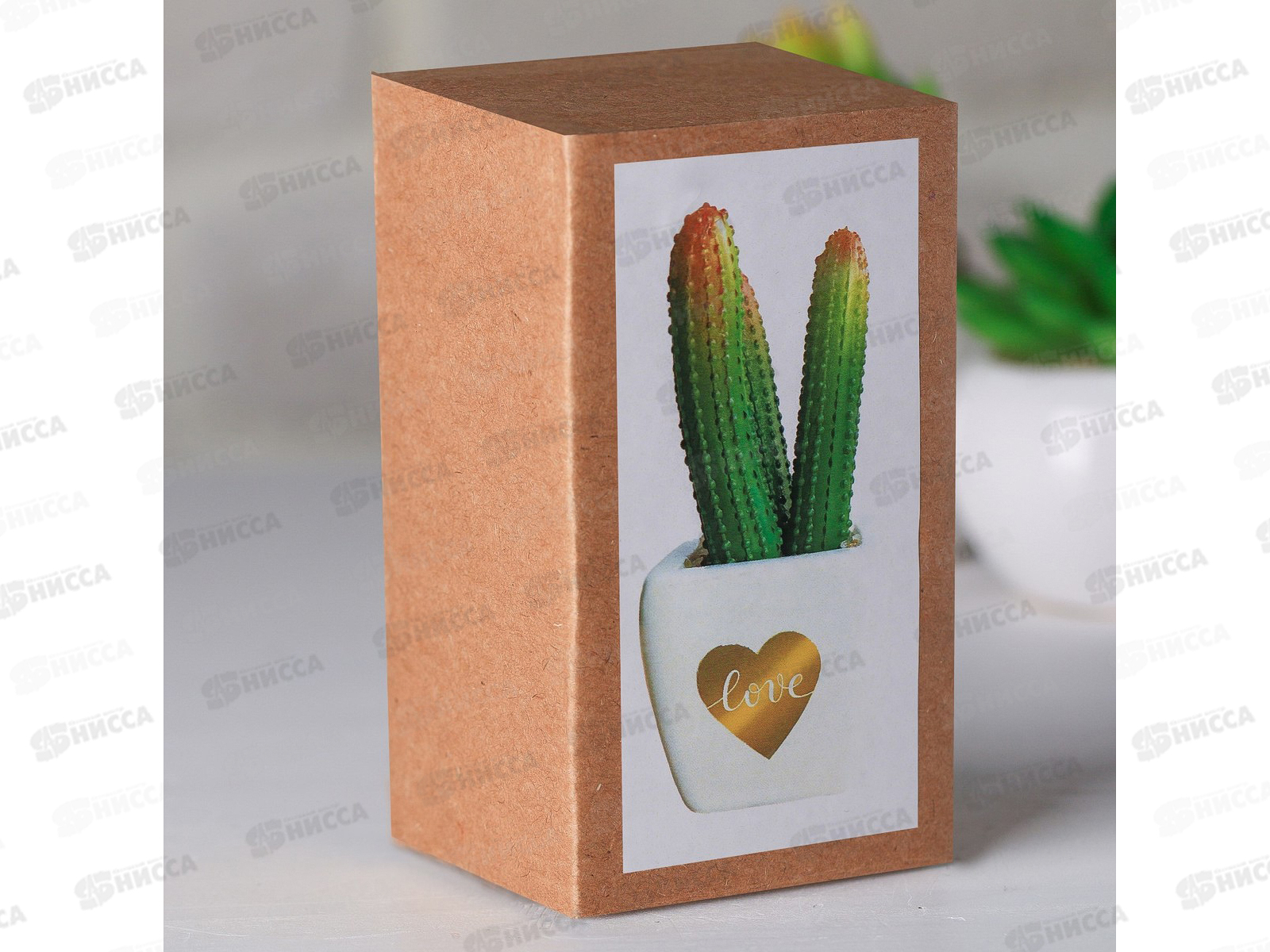 Бонсай в горшке Суккулент Love 10,5*6см 4095590