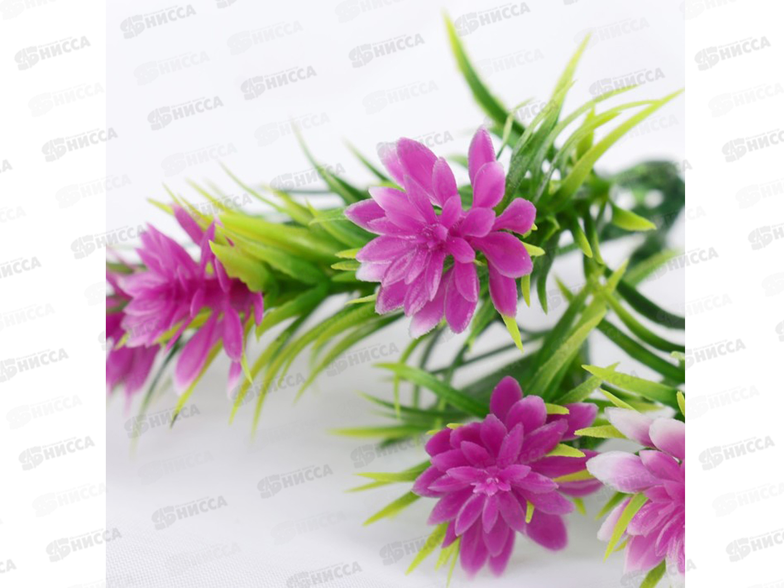 Букет 18см Эхеверия и листики микс 4642646 *6