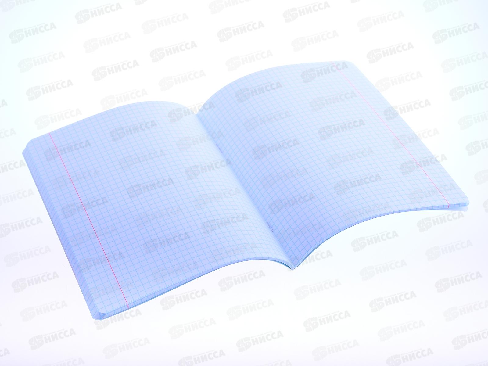 Тетрадь 48листов клетка BG &quotMystic girl-геометрия&quot справочный материал, 9222*10/60