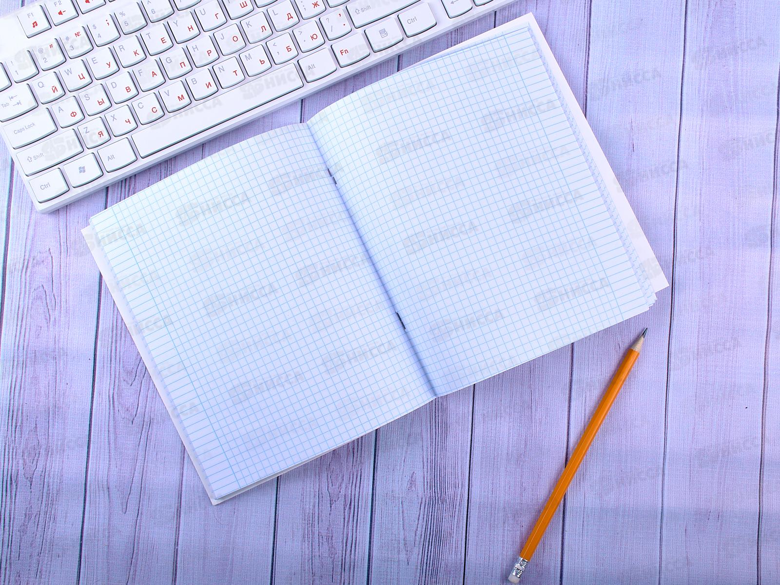 Тетрадь 48 листов клетка. ПЛН Глупые птицы, асс., 3006 *40